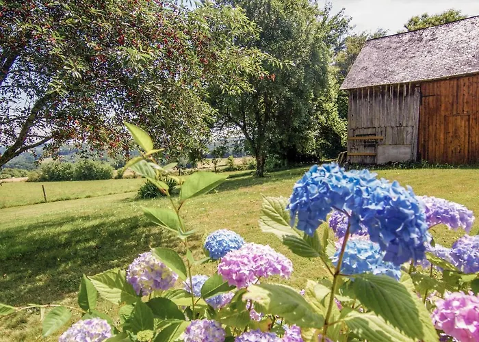 Peaceful In Vakantiehuis Savignac-Lédrier