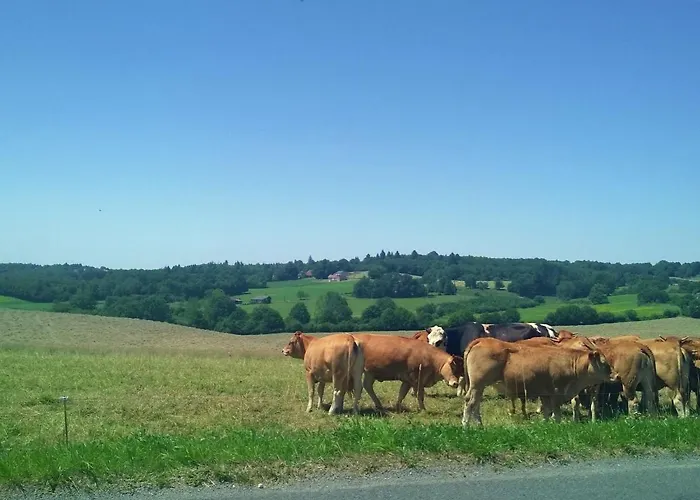 Peaceful In Σπίτι διακοπών *