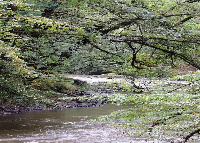 Peaceful In Savignac-Lédrier